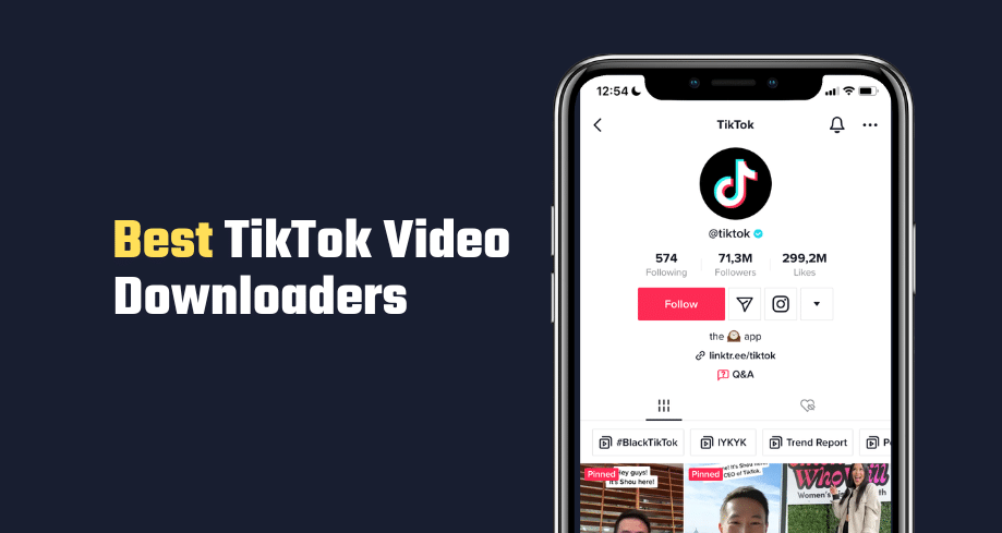 tiktok video downloaders