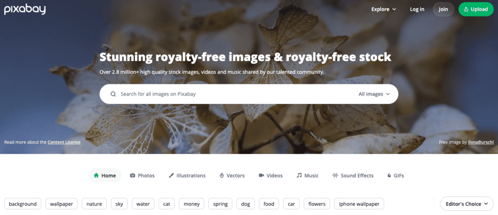 pixabay